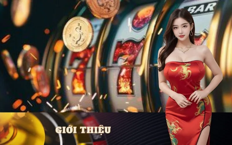 Giới Thiệu