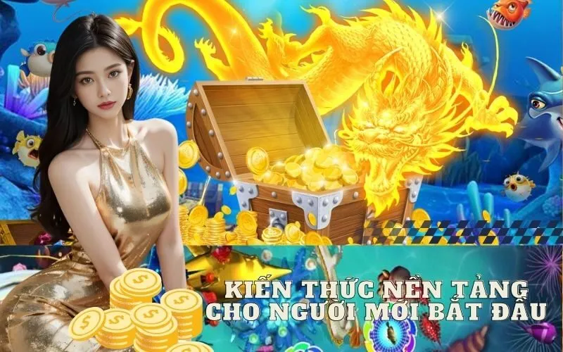Kiến Thức Nền Tảng Cho Người Mới Bắt Đầu