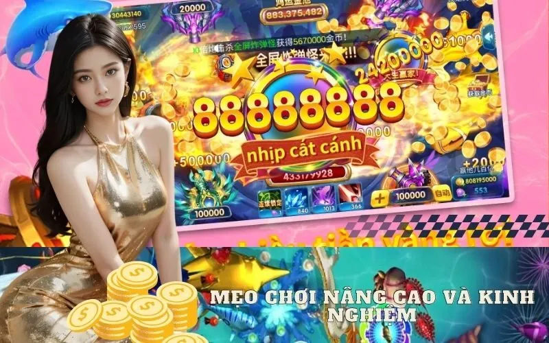 Mẹo Chơi Nâng Cao và Kinh Nghiệm Từ Cao Thủ